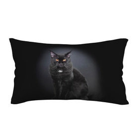 Подушка 3D антистресс с принтом Мейн-кун 3 в Белгороде, наволочка — 100% полиэстер, наполнитель — вспененный полистирол | состоит из подушки и наволочки на молнии | кот | котенок | котик | котэ | кошка | мейн кун | мейнкун | мэйн кун | мэйнкун
