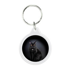 Брелок круглый с принтом Мейн-кун 3 в Белгороде, пластик и полированная сталь | круглая форма, металлическое крепление в виде кольца | кот | котенок | котик | котэ | кошка | мейн кун | мейнкун | мэйн кун | мэйнкун