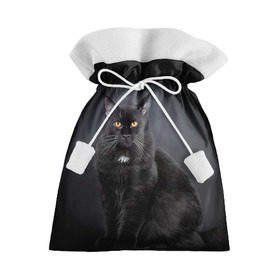 Подарочный 3D мешок с принтом Мейн-кун 3 в Белгороде, 100% полиэстер | Размер: 29*39 см | кот | котенок | котик | котэ | кошка | мейн кун | мейнкун | мэйн кун | мэйнкун