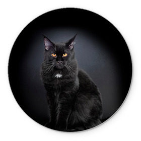 Коврик круглый с принтом Мейн-кун 3 в Белгороде, резина и полиэстер | круглая форма, изображение наносится на всю лицевую часть | Тематика изображения на принте: кот | котенок | котик | котэ | кошка | мейн кун | мейнкун | мэйн кун | мэйнкун