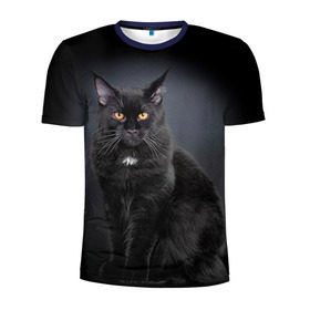 Мужская футболка 3D спортивная с принтом Мейн-кун 3 в Белгороде, 100% полиэстер с улучшенными характеристиками | приталенный силуэт, круглая горловина, широкие плечи, сужается к линии бедра | Тематика изображения на принте: кот | котенок | котик | котэ | кошка | мейн кун | мейнкун | мэйн кун | мэйнкун