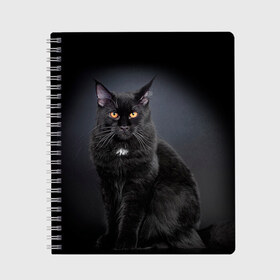Тетрадь с принтом Мейн-кун 3 в Белгороде, 100% бумага | 48 листов, плотность листов — 60 г/м2, плотность картонной обложки — 250 г/м2. Листы скреплены сбоку удобной пружинной спиралью. Уголки страниц и обложки скругленные. Цвет линий — светло-серый
 | Тематика изображения на принте: кот | котенок | котик | котэ | кошка | мейн кун | мейнкун | мэйн кун | мэйнкун