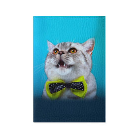 Обложка для паспорта матовая кожа с принтом Британец 3 в Белгороде, натуральная матовая кожа | размер 19,3 х 13,7 см; прозрачные пластиковые крепления | Тематика изображения на принте: британец | британская | британцы | кот | котенок | котик | котэ | кошка