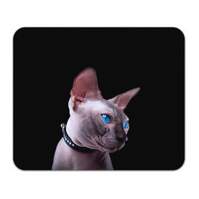 Коврик прямоугольный с принтом Сфинкс 6 в Белгороде, натуральный каучук | размер 230 х 185 мм; запечатка лицевой стороны | Тематика изображения на принте: кот | котенок | котик | котэ | кошка | сфинкс
