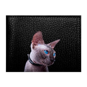 Обложка для студенческого билета с принтом Сфинкс 6 в Белгороде, натуральная кожа | Размер: 11*8 см; Печать на всей внешней стороне | кот | котенок | котик | котэ | кошка | сфинкс