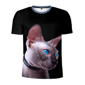 Мужская футболка 3D спортивная с принтом Сфинкс 6 в Белгороде, 100% полиэстер с улучшенными характеристиками | приталенный силуэт, круглая горловина, широкие плечи, сужается к линии бедра | кот | котенок | котик | котэ | кошка | сфинкс