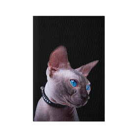 Обложка для паспорта матовая кожа с принтом Сфинкс 6 в Белгороде, натуральная матовая кожа | размер 19,3 х 13,7 см; прозрачные пластиковые крепления | кот | котенок | котик | котэ | кошка | сфинкс