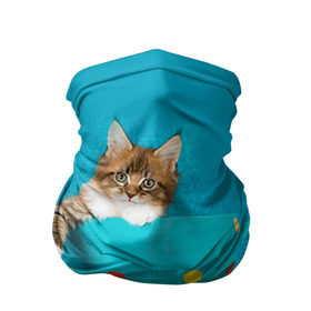 Бандана-труба 3D с принтом Мейн-кун 4 в Белгороде, 100% полиэстер, ткань с особыми свойствами — Activecool | плотность 150‒180 г/м2; хорошо тянется, но сохраняет форму | кот | котенок | котик | котэ | кошка | мейн кун | мейнкун | мэйн кун | мэйнкун