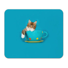 Коврик прямоугольный с принтом Мейн-кун 4 в Белгороде, натуральный каучук | размер 230 х 185 мм; запечатка лицевой стороны | Тематика изображения на принте: кот | котенок | котик | котэ | кошка | мейн кун | мейнкун | мэйн кун | мэйнкун