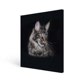 Холст квадратный с принтом Мейн-кун 5 в Белгороде, 100% ПВХ |  | кот | котенок | котик | котэ | кошка | мейн кун | мейнкун | мэйн кун | мэйнкун