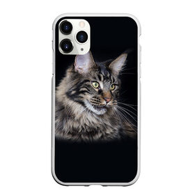 Чехол для iPhone 11 Pro матовый с принтом Мейн-кун 5 в Белгороде, Силикон |  | кот | котенок | котик | котэ | кошка | мейн кун | мейнкун | мэйн кун | мэйнкун