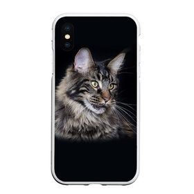 Чехол для iPhone XS Max матовый с принтом Мейн-кун 5 в Белгороде, Силикон | Область печати: задняя сторона чехла, без боковых панелей | кот | котенок | котик | котэ | кошка | мейн кун | мейнкун | мэйн кун | мэйнкун