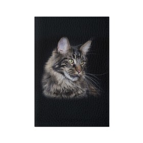 Обложка для паспорта матовая кожа с принтом Мейн-кун 5 в Белгороде, натуральная матовая кожа | размер 19,3 х 13,7 см; прозрачные пластиковые крепления | Тематика изображения на принте: кот | котенок | котик | котэ | кошка | мейн кун | мейнкун | мэйн кун | мэйнкун