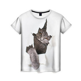 Женская футболка 3D с принтом Британец 4 в Белгороде, 100% полиэфир ( синтетическое хлопкоподобное полотно) | прямой крой, круглый вырез горловины, длина до линии бедер | Тематика изображения на принте: британец | британская | британцы | кот | котенок | котик | котэ | кошка