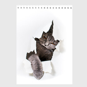 Скетчбук с принтом Британец 4 в Белгороде, 100% бумага
 | 48 листов, плотность листов — 100 г/м2, плотность картонной обложки — 250 г/м2. Листы скреплены сверху удобной пружинной спиралью | британец | британская | британцы | кот | котенок | котик | котэ | кошка