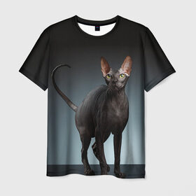 Мужская футболка 3D с принтом Сфинкс 7 в Белгороде, 100% полиэфир | прямой крой, круглый вырез горловины, длина до линии бедер | Тематика изображения на принте: кот | котенок | котик | котэ | кошка | сфинкс