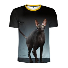 Мужская футболка 3D спортивная с принтом Сфинкс 7 в Белгороде, 100% полиэстер с улучшенными характеристиками | приталенный силуэт, круглая горловина, широкие плечи, сужается к линии бедра | кот | котенок | котик | котэ | кошка | сфинкс