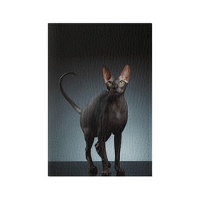 Обложка для паспорта матовая кожа с принтом Сфинкс 7 в Белгороде, натуральная матовая кожа | размер 19,3 х 13,7 см; прозрачные пластиковые крепления | Тематика изображения на принте: кот | котенок | котик | котэ | кошка | сфинкс