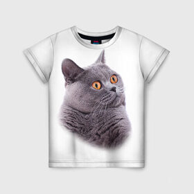 Детская футболка 3D с принтом Британец 5 в Белгороде, 100% гипоаллергенный полиэфир | прямой крой, круглый вырез горловины, длина до линии бедер, чуть спущенное плечо, ткань немного тянется | британец | британская | британцы | кот | котенок | котик | котэ | кошка