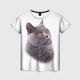Женская футболка 3D с принтом Британец 5 в Белгороде, 100% полиэфир ( синтетическое хлопкоподобное полотно) | прямой крой, круглый вырез горловины, длина до линии бедер | британец | британская | британцы | кот | котенок | котик | котэ | кошка