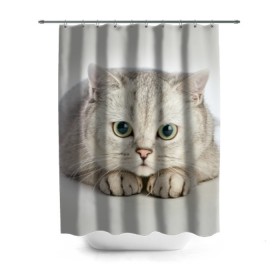 Штора 3D для ванной с принтом Британец 6 в Белгороде, 100% полиэстер | плотность материала — 100 г/м2. Стандартный размер — 146 см х 180 см. По верхнему краю — пластиковые люверсы для креплений. В комплекте 10 пластиковых колец | британец | британская | британцы | кот | котенок | котик | котэ | кошка