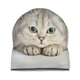 Шапка 3D с принтом Британец 6 в Белгороде, 100% полиэстер | универсальный размер, печать по всей поверхности изделия | Тематика изображения на принте: британец | британская | британцы | кот | котенок | котик | котэ | кошка