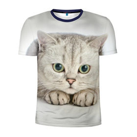 Мужская футболка 3D спортивная с принтом Британец 6 в Белгороде, 100% полиэстер с улучшенными характеристиками | приталенный силуэт, круглая горловина, широкие плечи, сужается к линии бедра | британец | британская | британцы | кот | котенок | котик | котэ | кошка