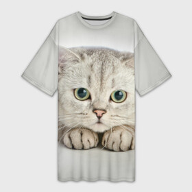 Платье-футболка 3D с принтом Британец кот лежит сосредоточен в Белгороде,  |  | британец | британская | британцы | кот | котенок | котик | котэ | кошка