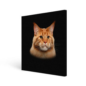 Холст квадратный с принтом Мейн-кун 6 в Белгороде, 100% ПВХ |  | кот | котенок | котик | котэ | кошка | мейн кун | мейнкун | мэйн кун | мэйнкун