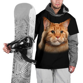 Накидка на куртку 3D с принтом Мейн-кун 6 в Белгороде, 100% полиэстер |  | кот | котенок | котик | котэ | кошка | мейн кун | мейнкун | мэйн кун | мэйнкун