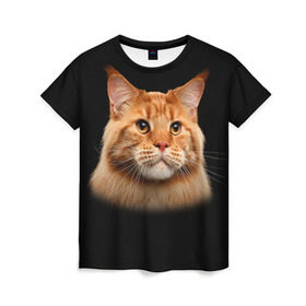 Женская футболка 3D с принтом Мейн-кун 6 в Белгороде, 100% полиэфир ( синтетическое хлопкоподобное полотно) | прямой крой, круглый вырез горловины, длина до линии бедер | Тематика изображения на принте: кот | котенок | котик | котэ | кошка | мейн кун | мейнкун | мэйн кун | мэйнкун
