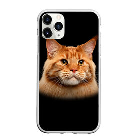 Чехол для iPhone 11 Pro Max матовый с принтом Мейн-кун 6 в Белгороде, Силикон |  | кот | котенок | котик | котэ | кошка | мейн кун | мейнкун | мэйн кун | мэйнкун