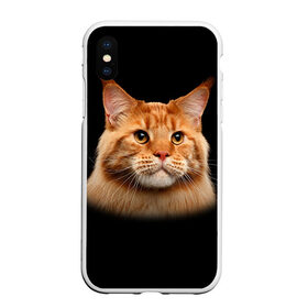 Чехол для iPhone XS Max матовый с принтом Мейн-кун 6 в Белгороде, Силикон | Область печати: задняя сторона чехла, без боковых панелей | кот | котенок | котик | котэ | кошка | мейн кун | мейнкун | мэйн кун | мэйнкун