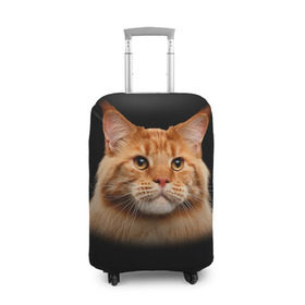 Чехол для чемодана 3D с принтом Мейн-кун 6 в Белгороде, 86% полиэфир, 14% спандекс | двустороннее нанесение принта, прорези для ручек и колес | кот | котенок | котик | котэ | кошка | мейн кун | мейнкун | мэйн кун | мэйнкун