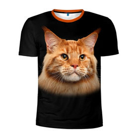 Мужская футболка 3D спортивная с принтом Мейн-кун 6 в Белгороде, 100% полиэстер с улучшенными характеристиками | приталенный силуэт, круглая горловина, широкие плечи, сужается к линии бедра | кот | котенок | котик | котэ | кошка | мейн кун | мейнкун | мэйн кун | мэйнкун