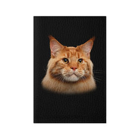 Обложка для паспорта матовая кожа с принтом Мейн-кун 6 в Белгороде, натуральная матовая кожа | размер 19,3 х 13,7 см; прозрачные пластиковые крепления | Тематика изображения на принте: кот | котенок | котик | котэ | кошка | мейн кун | мейнкун | мэйн кун | мэйнкун