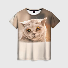 Женская футболка 3D с принтом Британец 7 в Белгороде, 100% полиэфир ( синтетическое хлопкоподобное полотно) | прямой крой, круглый вырез горловины, длина до линии бедер | британец | британская | британцы | кот | котенок | котик | котэ | кошка