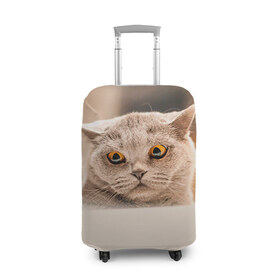 Чехол для чемодана 3D с принтом Британец 7 в Белгороде, 86% полиэфир, 14% спандекс | двустороннее нанесение принта, прорези для ручек и колес | британец | британская | британцы | кот | котенок | котик | котэ | кошка