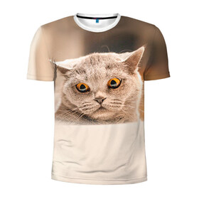 Мужская футболка 3D спортивная с принтом Британец 7 в Белгороде, 100% полиэстер с улучшенными характеристиками | приталенный силуэт, круглая горловина, широкие плечи, сужается к линии бедра | британец | британская | британцы | кот | котенок | котик | котэ | кошка