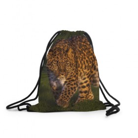 Рюкзак-мешок 3D с принтом Дальневосточный леопард в Белгороде, 100% полиэстер | плотность ткани — 200 г/м2, размер — 35 х 45 см; лямки — толстые шнурки, застежка на шнуровке, без карманов и подкладки | Тематика изображения на принте: дикая кошка | леопард | природа | хищник