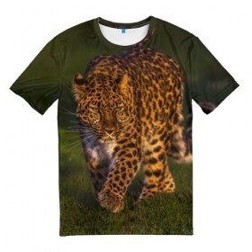 Мужская футболка 3D с принтом Дальневосточный леопард в Белгороде, 100% полиэфир | прямой крой, круглый вырез горловины, длина до линии бедер | Тематика изображения на принте: дикая кошка | леопард | природа | хищник