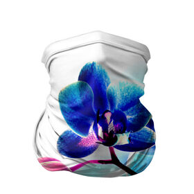 Бандана-труба 3D с принтом Орхидея в Белгороде, 100% полиэстер, ткань с особыми свойствами — Activecool | плотность 150‒180 г/м2; хорошо тянется, но сохраняет форму | лютики | синий | цветы