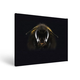 Холст прямоугольный с принтом Пчела в Белгороде, 100% ПВХ |  | Тематика изображения на принте: глаза | насекомое | оса | пчела