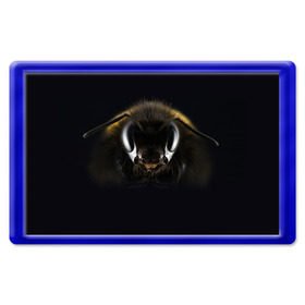 Магнит 45*70 с принтом Пчела в Белгороде, Пластик | Размер: 78*52 мм; Размер печати: 70*45 | глаза | насекомое | оса | пчела