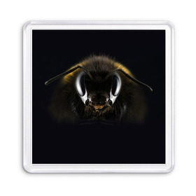 Магнит 55*55 с принтом Пчела в Белгороде, Пластик | Размер: 65*65 мм; Размер печати: 55*55 мм | глаза | насекомое | оса | пчела