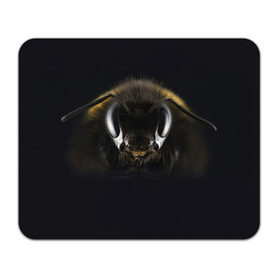 Коврик прямоугольный с принтом Пчела в Белгороде, натуральный каучук | размер 230 х 185 мм; запечатка лицевой стороны | глаза | насекомое | оса | пчела