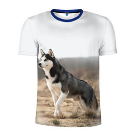 Мужская футболка 3D спортивная с принтом Хаски в Белгороде, 100% полиэстер с улучшенными характеристиками | приталенный силуэт, круглая горловина, широкие плечи, сужается к линии бедра | Тематика изображения на принте: dog | husky | siberia | север | сибирь | собака | хаски