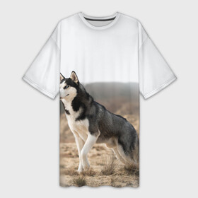 Платье-футболка 3D с принтом Хаски в Белгороде,  |  | dog | husky | siberia | север | сибирь | собака | хаски
