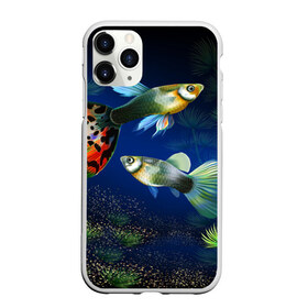 Чехол для iPhone 11 Pro матовый с принтом Аквариумные рыбки в Белгороде, Силикон |  | аквариум | вода | водоросли | природа | рыба | рыбка | туризм