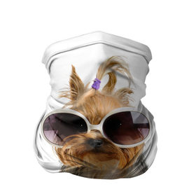 Бандана-труба 3D с принтом Модница в Белгороде, 100% полиэстер, ткань с особыми свойствами — Activecool | плотность 150‒180 г/м2; хорошо тянется, но сохраняет форму | fashion | животное | красавица | лучший друг | модница | няша | очки | причёска | собака | собачка | щенок | щеночек